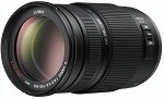 Panasonic Lumix H-FS100300 Lens 